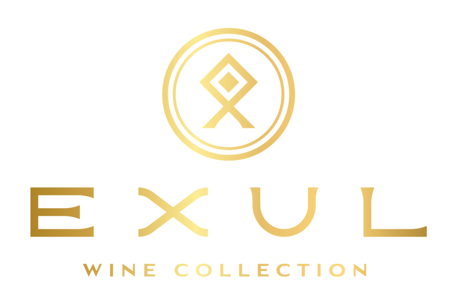 vin, wine, exul, luxe, best, bib, cubi, rare, prestige, innovant, meilleur, classe, mariage, secret arts of spirits, pays d'oc, igp, herault, nouveau, meilleur, sommelier, pascal, leonetti, arthur, chakhoian, france, french, bag, sac, main